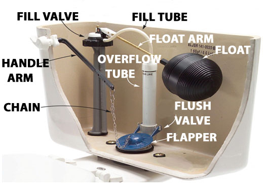 Why Won't My Toilet Stop Running? overflow tube